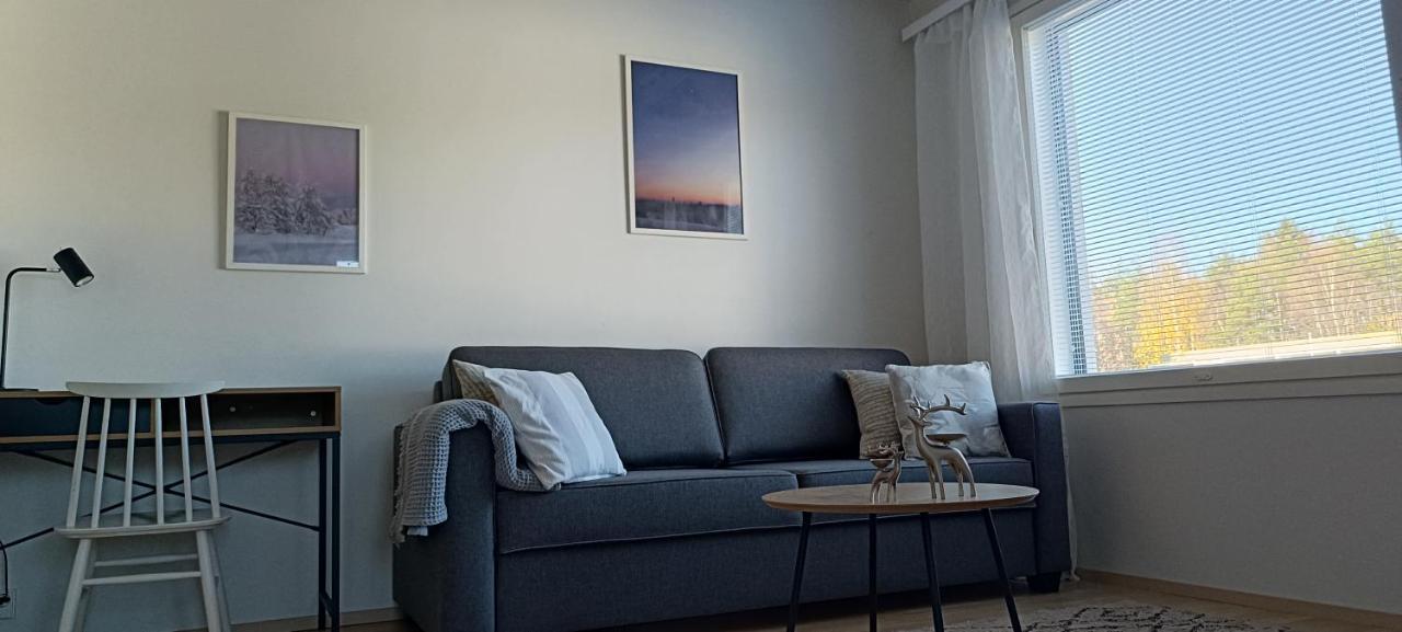 Kodikas Huoneisto, Oma Sauna, Ilmainen Pysaekoeinti Rovaniemi Bagian luar foto